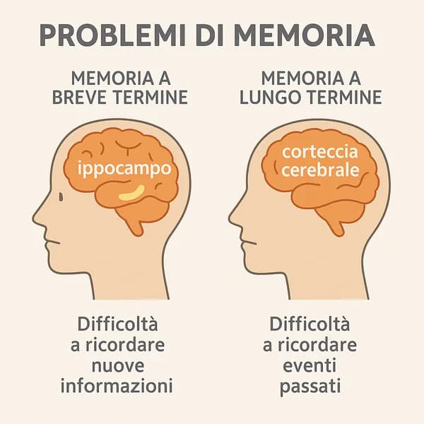 Problemi di memoria a breve e lungo termine: comprensione, diagnosi e trattamento