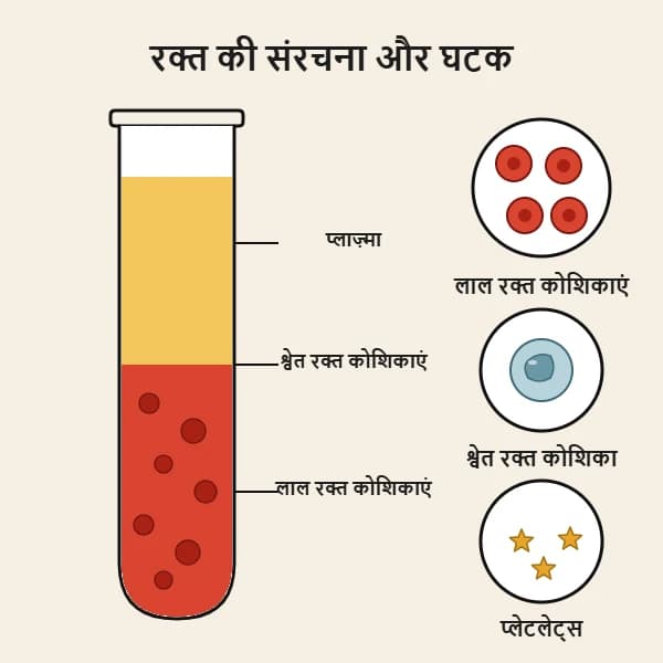 रक्त की संरचना और संघटन: प्लाज्मा, लाल रक्त कोशिकाएँ, श्वेत रक्त कोशिकाएँ और प्लेटलेट्स