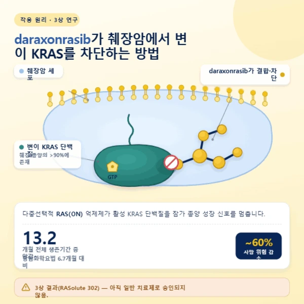 췌장암 세포에서 KRAS 단백질에 결합하는 다락소나라십 알약 분자의 개념적 일러스트레이션.