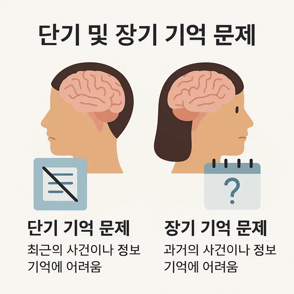 단기 및 장기 기억 문제: 이해, 진단 및 치료
