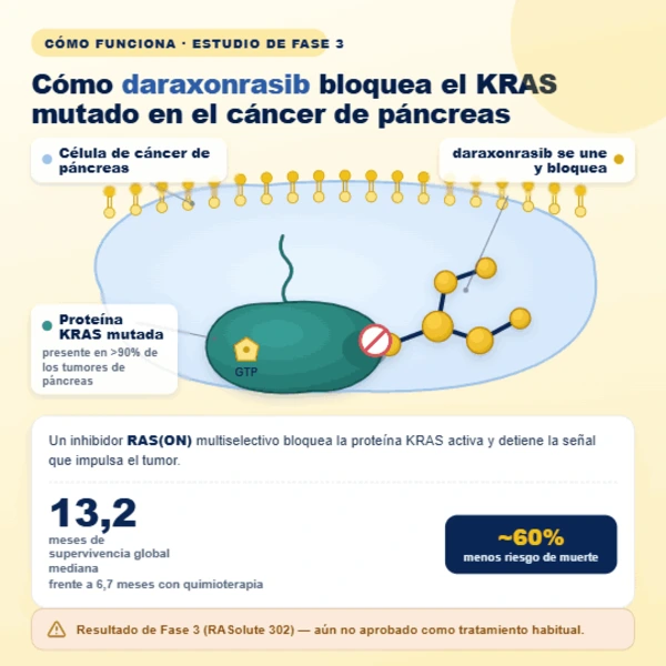 Molécula de daraxonrasib uniéndose a una proteína KRAS en una célula de cáncer de páncreas.