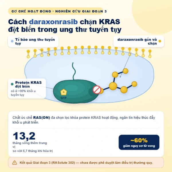 Hình minh họa khái niệm về phân tử thuốc viên daraxonrasib gắn vào protein KRAS trong tế bào ung thư tụy.