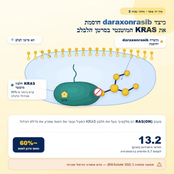 איור מושגי של מולקולת הכדור daraxonrasib נקשרת לחלבון KRAS בתא סרטן לבלב.