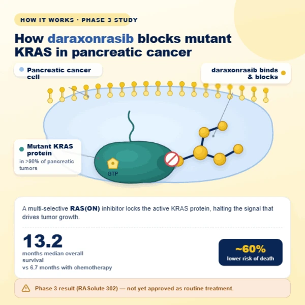 Conceptual illustration of a daraxonrasib pill molecule binding to a KRAS protein in a pancreatic cancer cell.