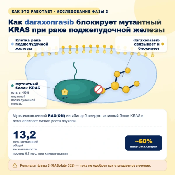 Концептуальная иллюстрация молекулы дараксонрасиба, связывающейся с белком KRAS в клетке рака поджелудочной железы.
